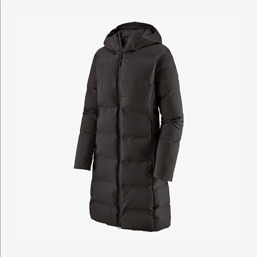 Patagonia Jackson Glacier Parka